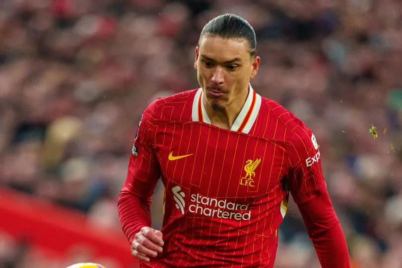 Preview Napoli Secures Lang from PSV, Eyes Liverpool’s Nuñez