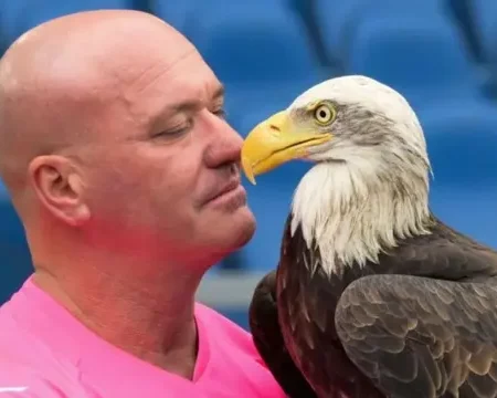 Lazio’s former falconer, Bernabè, lands on OnlyFans naked
