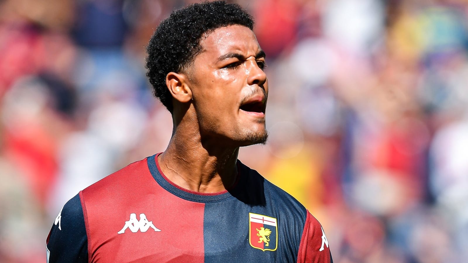 Preview Genoa Transfer Market: De Winter Auction, Hope for Carboni