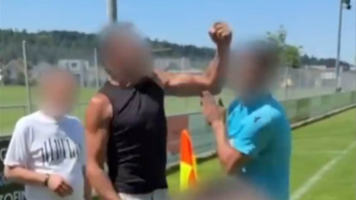 Preview Father Assaults Opposing Goalkeeper During Youth Football Match