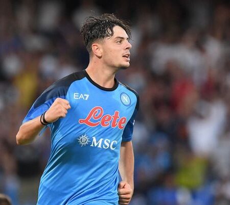 Napoli, chi sono Ambrosino e Vergara