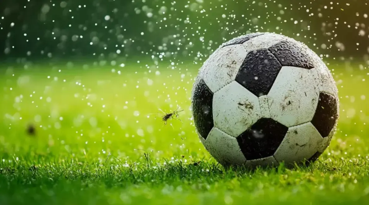 Preview Understanding Betting Odds on 1Win and 1xBet